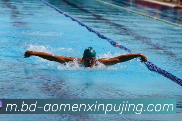 多媒体互动体验